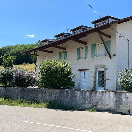 Maison De Campagne, 8 Couchages Et Bel Exterieur Saint-Appolinard  Extérieur photo